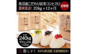 【令和7年産】定期便！魚沼産こだわり従来コシヒカリ【合計240kg】毎月20kg×12回 ブランド米 銘柄米 白米 精米 ご飯 おにぎり お弁当 