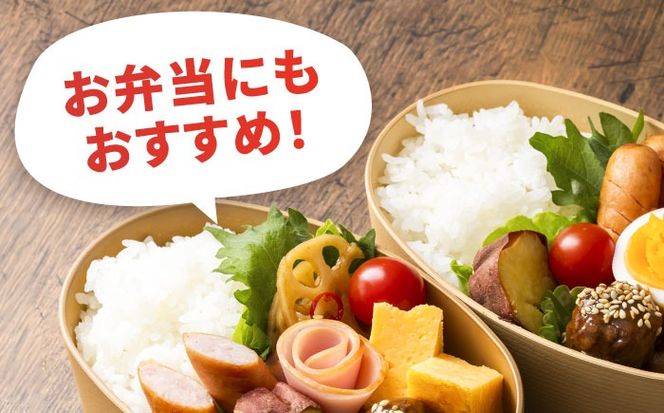【先行予約/10月より順発送】 【令和7年度産 新米 】 あいちのかおり 白米 10kg お米 ご飯 愛西市 / 戸倉トラクター 【配達不可：離島】 [AECS002]