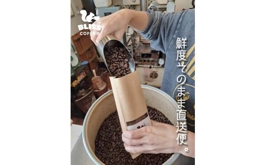 煎りたて・挽きたてでお届け ドリップバッグコーヒー 3種 計12袋　飲み比べ ギフト お試し セット オフィス アウトドア キャンプ ブレンド H185-001