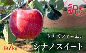 シナノスイート（訳あり ） 約7kg　トメズファーム　りんご　長野　信州　小諸　果物　フルーツ