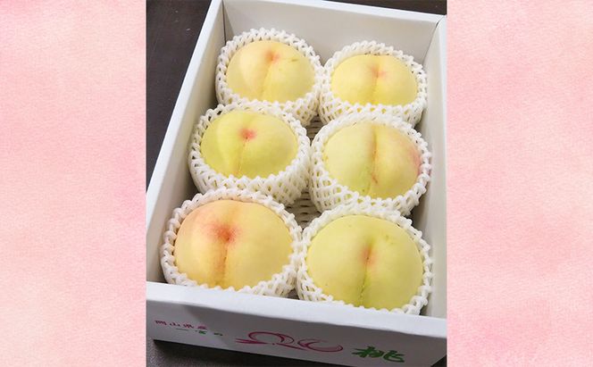【桃 2026年 先行予約】ご家庭用 岡山白桃 約1.4kg（4～6玉） もも モモ 岡山県 国産 フルーツ 果物