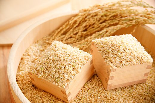 【新米】令和8年産　冷めても美味しいあっさりとした味わい「みずかがみ」玄米【30kg×1袋】【C019W2】（滋賀県　近江八幡市）