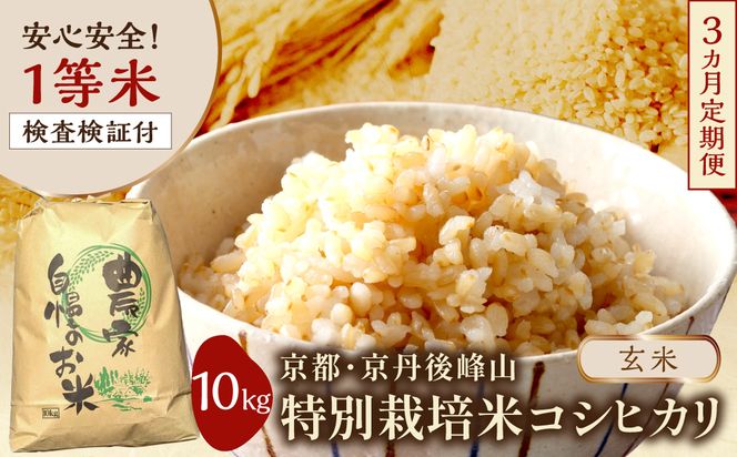 【3ヶ月定期便】2026年産 京都・京丹後峰山 特別栽培米コシヒカリ 10kg 【玄米】 1等米 検査済証付　ふるさと納税 米 玄米 定期便 京都 コシヒカリ 特別栽培 ふるさと納税 玄米 定期便　MF00088