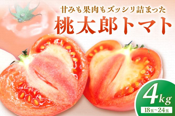 桃太郎トマト4kg（18玉～24玉）【ほたるの里】_HA0572