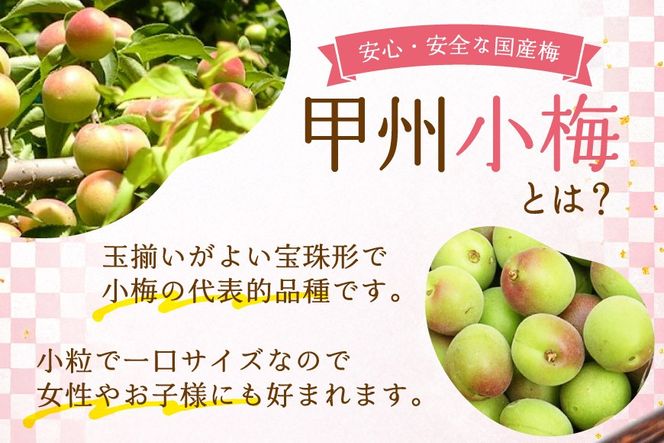 【やわらか】信玄の薬膳小梅干 200g×2 [山梨農産食品 山梨県 韮崎市 20743181] 梅干し 梅干 うめぼし 梅 小粒 小梅 国産