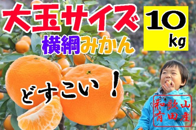 ya̎RLc쒬zʗLc݂ 10kg 2LE3LTCY   CB024