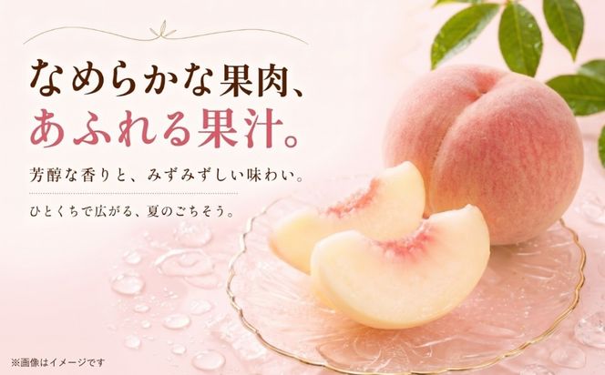 FB001 【2026年 先行予約】日本一の産地山梨県産　朝採れ桃約２kg(５～８玉）