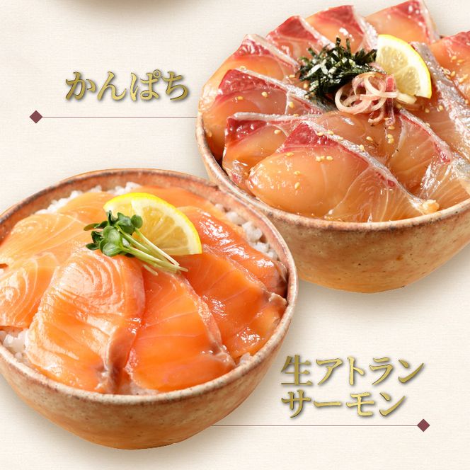 【冷凍】ぶり・真鯛・かんぱち・生アトランサーモンの漬け丼4種食べ比べセット110g×8袋 N019-YB250