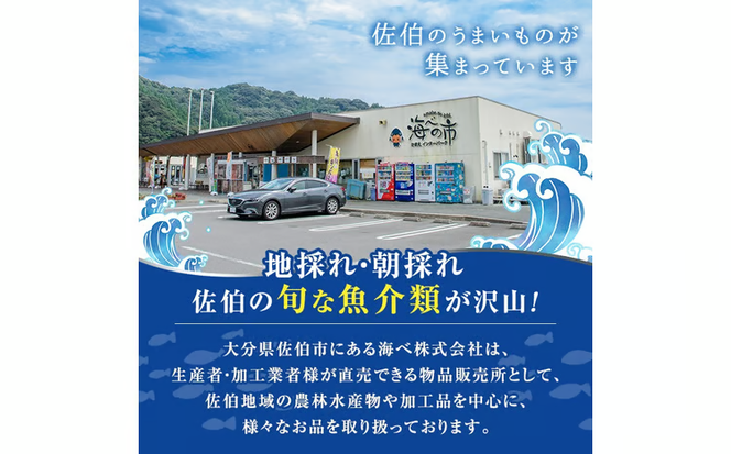 冷凍 天然活きトコブシ (約400g・ハーフサイズ) 魚介 貝 トコブシ とこぶし 網焼き バター焼き バーベキュー 獲れたて 冷凍 海の直売所 大分県 佐伯市【AS149】【海べ】