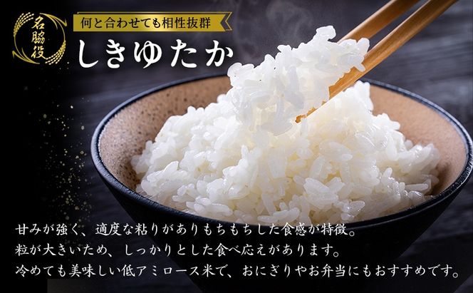 【令和8年産 先行受付】しきゆたか 白米 20kg (10kg×2)《2027年2月発送》