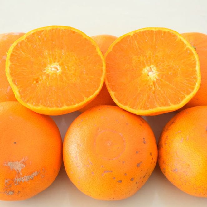 ZD7003_【2027年先行予約】一度は食べていただきたい 有田産のせとか 【訳あり 家庭用】 4kg～5kg (サイズおまかせ)