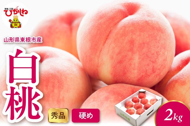 2025年産 白桃（硬め） 2kg 秀品 山形県 東根市 hi082-012-2