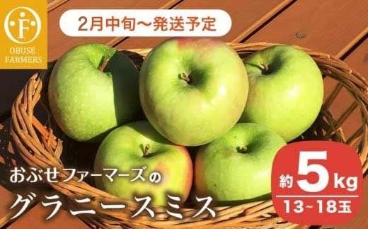 y쌧z{zOj[X~X 5kg 13`18ʁm Ԃt@[}[Y n t[c ʕ  y2026N2{`z