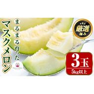 【0322204a】まるまる育ったマスクメロン(3玉・計5kg以上) マスクメロン フルーツ 果物 果実 5キロ 数量限定 期間限定【まる美園芸組合】