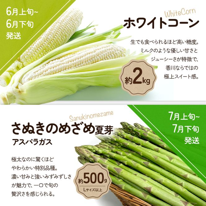 「生活応援企画！」旬のさぬきの野菜定期便（5回） 野菜 定期便 旬 新鮮 食べごろ 季節 ブロッコリー アスパラ アスパラガス 春芽 夏芽 ホワイトコーン  ミニトマト 香川県 東かがわ市
