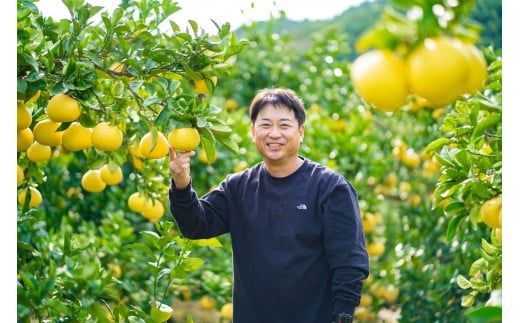 【日本ギフト大賞2024受賞】園主こだわりミニチュア土佐文旦ぶんたん 7kg 23～28玉〈2027年1月中旬から4月下旬発送〉 超小玉土佐文旦 ブンタン フルーツ 柑橘 みかん 果物 柑橘類 デザート 高知県 土佐市【やの一果彩】[BQAC027]