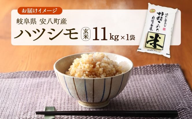 R7年産 特選米 ハツシモ 玄米 11kg ×1袋 お米 米 ごはん  ご飯 はつしも 令和7年産 ブランド米 低農薬 お取り寄せ 産地直送 クリーンファームまき 送料無料 岐阜県 安八町