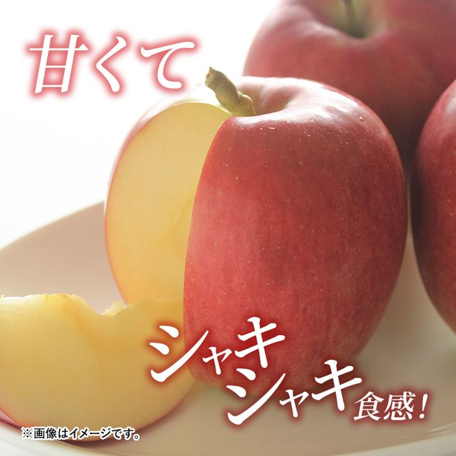 【2026年発送】志賀高原の麓で育った シナノスイート 秀16玉 約5kg りんご フルーツ 果物 デザート 長野県 長野