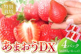 【先行予約受付中】【2026年12月以降順次発送】特別栽培あまおうDX4パック【うるう農園】_HA1966