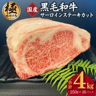 G1572 A5/A4等級 黒毛和牛 サーロインステーキカット 合計4kg（250g×16P）【極味付け肉】