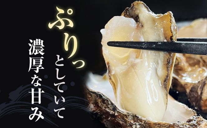 厚岸産 殻牡蠣 Lサイズ 20個 セットカキ 牡蠣 魚介類 送料無料 新鮮 濃厚 大粒 マルえもん メルマガ掲載商品2 
