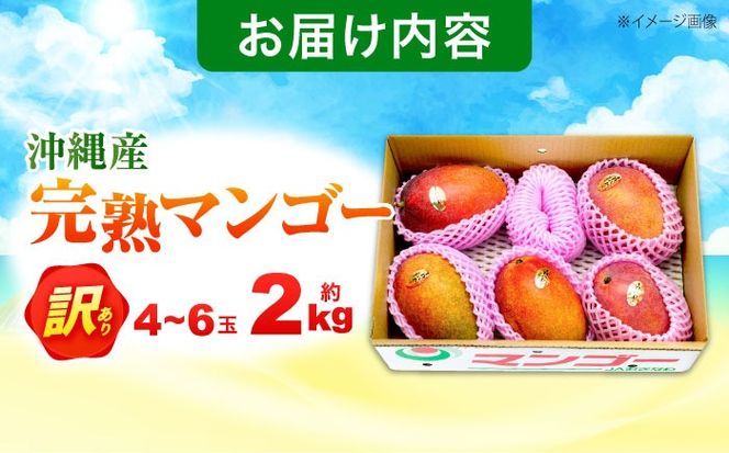 【2026年発送】 訳あり 完熟マンゴー 約2kg (4～6玉入) マンゴー 沖縄 果物 フルーツ ギフト 沖縄市 / ちゃんぷる～市場 [BCAA002]