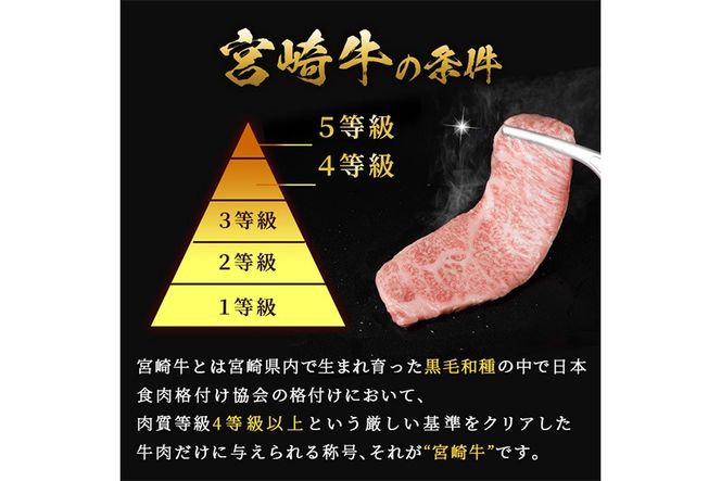 A5 等級 宮崎牛 すじ肉 煮込み用(計1.5kg・500g×3P) 黒毛和牛 牛スジ肉 牛 牛肉 肉 にく 牛すじ煮込み 煮込み どて煮 カレー ビーフシチュー おでん スープ 冷凍 個包装【OT-14】【KNOT合同会社】