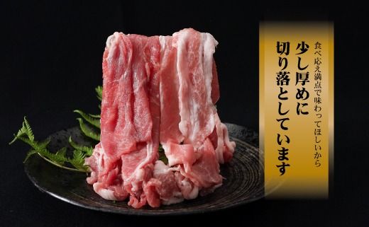 DM022_new　＜定期便＞6回プラン 幻の銘柄豚 富士湧水ポーク 2か月毎に美味しいお肉が届く！ 切り落とし1.5kg+挽肉1.5kg*