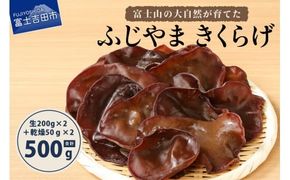 富士山の大自然が育てた「ふじやま きくらげ」(生きくらげ200g×2、乾燥きくらげ50g×2)