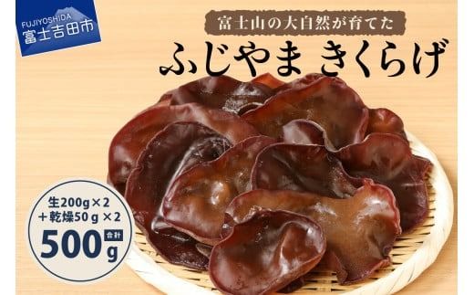 yRxmgcszxmȒ厩RĂuӂ 炰v(炰200g×2A炰50g×2)