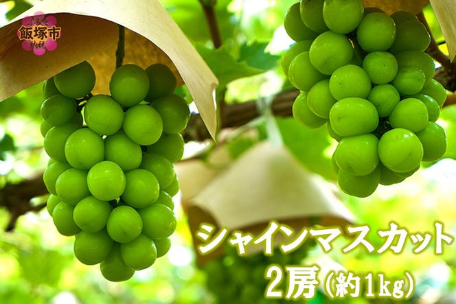 yђˎszyA7-070zVC}XJbg2[(1kg)2026N8{甭Jns\