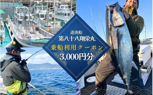 遊漁船「第八十八翔栄丸」 乗船利用クーポン 3000円分 / 釣り 海釣り 船釣り 釣り船 魚釣り フィッシング fishing 漁船 体験 チケット クーポン ジギング ジギング船 タイラバ トンジキ イカメタル アジング サビキ釣り イカ釣り キャスティング 三重県 紀宝町【sem001】