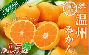 【ご家庭用】手選別 温州みかん 約1.5kg 和歌山県産 2S~2Lサイズ混合※2025年11月上旬～2026年2月中旬ごろに順次発送【mrmt006】