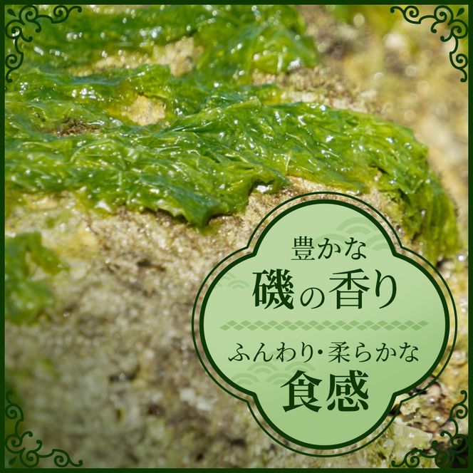 沖縄の海の恵み アーサ（あおさ）4パック CK-08