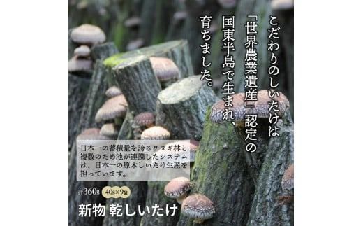 訳あり！大分県産新物乾しいたけ 40g×9袋セット_1998R