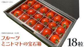 フルーツ ミニトマト の宝石箱 18粒 (茨城県共通返礼品：大子町) 野菜 フルーツ 旬 季節限定 期間限定