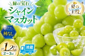 【2026年発送】 シャインマスカット 先行予約 頬張る幸福感 ～緑の宝石・シャインマスカット～ 1.2kg 以上 (2～3房) [REGALO 山梨県 韮崎市 20745476] シャイン マスカット ブドウ ぶどう 葡萄 フルーツ 果物 くだもの 1.2キロ 2房 ～ 3房 山梨 山梨県産 先行受付