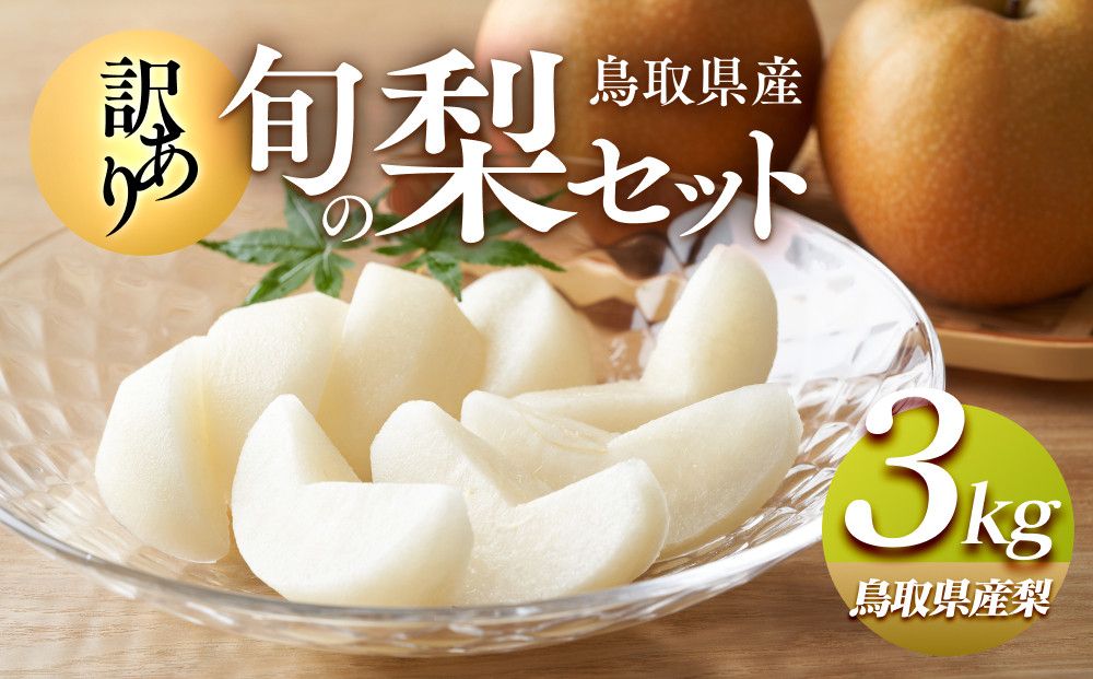 949.[訳あり]鳥取県産旬の梨セット 3kg[梨・なし・果物 フルーツ・くだもの] 313726