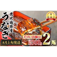 【0124314a-2508】＜8月上旬発送予定＞東串良町のうなぎ蒲焼(無頭)(2尾・計約300g・タレ、山椒付) うなぎ 高級 ウナギ 鰻 国産 蒲焼 蒲焼き たれ 鹿児島 ふるさと 人気【アクアおおすみ】