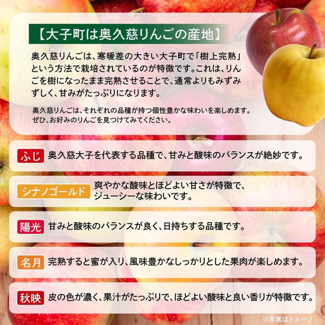 【先行予約】樹上完熟の奥久慈りんご詰め合わせ　園主おまかせ約3kg（6～14玉）【2026年9月下旬頃順次発送開始予定】斉藤りんご園第2直売所｜茨城県 大子町 林檎 果物 フルーツ 旬（CG001）