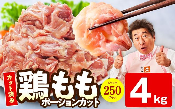 mrz0498 【カット済み】国産 鶏肉もも 4kg【スピード発送 氷温熟成×極味付け 小分け とり もも 簡単調理 唐揚げ 親子丼 家計応援】