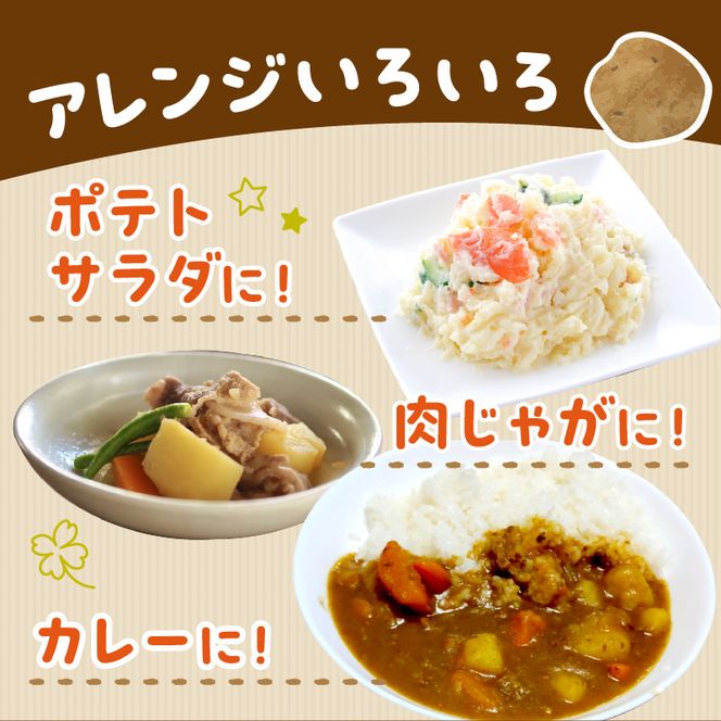 【予約：2026年2月上旬から順次発送】【選べる3サイズ】宇野さんの手拾い、手選別の越冬ジャガイモ 10kg ( 芋 野菜 選べる )【167-0004-2026】