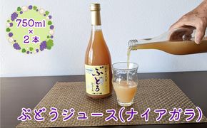 ぶどうジュース （ナイアガラ） 750ml×2本 【2489】