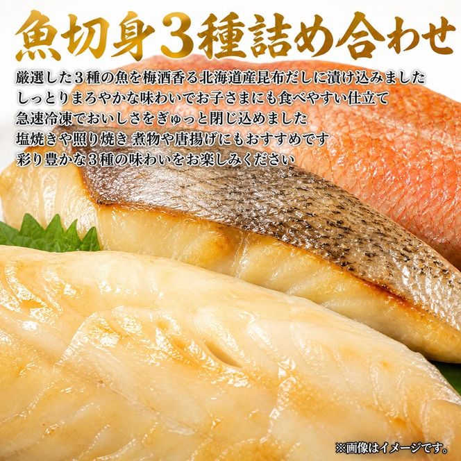 〈毎月定期便〉海鮮セットB(銀鮭切身・サバフィレ・3種切身)全3回