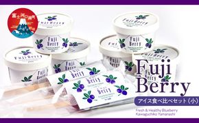 Fuji Berry アイス食べ比べセット（小） FAZ112