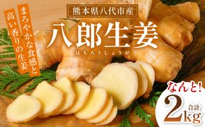 八郎生姜 2kg しょうが ショウガ ガリ ジンジャー 野菜 食品 薬味 生姜焼き しょうが焼き 温活 冷え性 対策 熊本県 八代市 東陽町 産地直送 国産