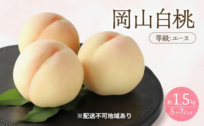 桃 2026年 先行予約 白桃 等級 エース 約1.5kg 5～7玉入り もも モモ 岡山 国産 フルーツ 果物 桃茂実苑