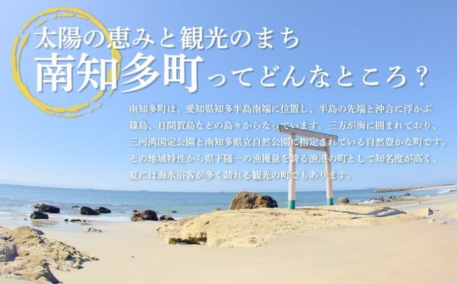 観光大使 おすすめ チャンピオンのおもてなしＢＢＱコース 篠島船盛浜焼きコース お食事券 1名様分 魚 魚介 海産物 海鮮 BBQ 鯛 サザエ 大アサリ 平貝 海老 串 イカ 串 えび 干物 小鉢 焼き おにぎり ご飯 米 人気 おすすめ 愛知県 南知多町