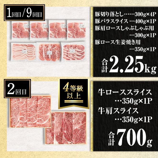 isa693 【定期便9回】13KING定期便(合計13kg) 肉 牛肉 豚肉 切り落とし スライス ステーキ リブロース サーロイン ヒレ ロース すき焼き とんかつ 生姜焼き 冷凍 【サンキョーミート株式会社】