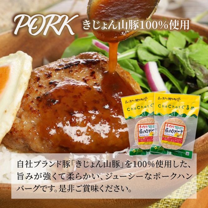 宮崎県産 ポークハンバーグ個包装(10個/冷凍) K16_0163